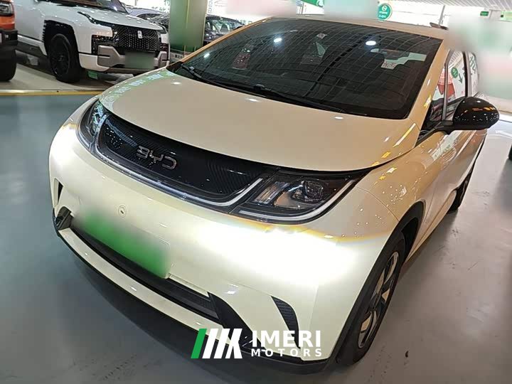 BYD Dolphin 420km Freedom Edition