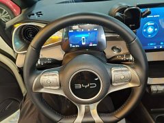 BYD Dolphin 2025 420km Freedom Edition - ფოტო 10