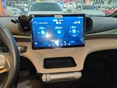 BYD Dolphin 2025 420km Freedom Edition - ფოტო 12