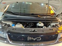 BYD Dolphin 2025 420km Freedom Edition - ფოტო 19