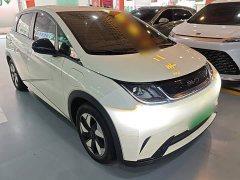 BYD Dolphin 2025 420km Freedom Edition - ფოტო 3