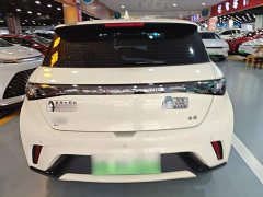 BYD Dolphin 2025 420km Freedom Edition - ფოტო 5