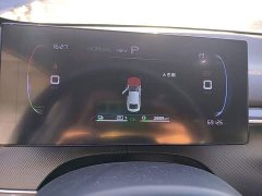 BYD Destroyer 05 Champion Edition DM-i 55KM Luxury - ფოტო 11