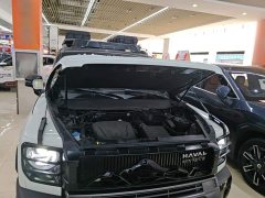 Haval Manlong New Energy Hi4 145 Adventure Edition - ფოტო 19