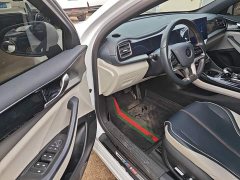 BYD Qin Plus EV 400KM Leading Comfort Edition - ფოტო 15