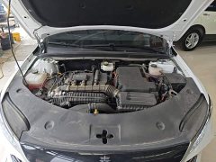 BYD Qin PLUS DM-i Smart Drive Edition 55KM Leading - ფოტო 19