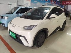 BYD Seagull 2023 Vitality Edition - ფოტო 1