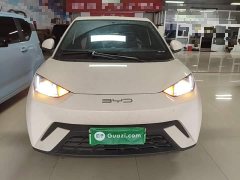 BYD Seagull 2023 Vitality Edition - ფოტო 2