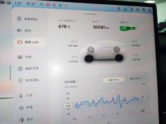 Nio Lerado L60 60kWh Rear-Wheel Drive - ფოტო 11