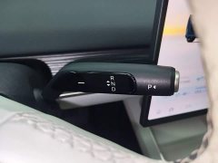 Nio Lerado L60 60kWh Rear-Wheel Drive - ფოტო 13