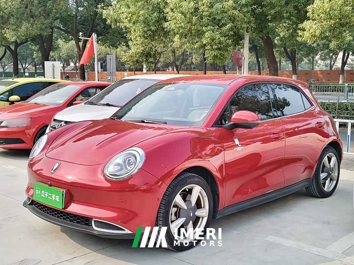 ORA Good Cat 2021 400km Standard Range Athena Edition LFP Battery - ავტომობილი ჩინეთიდან