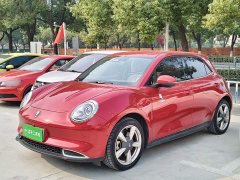 ORA Good Cat 2021 400km Standard Range Athena Edition LFP Battery - ფოტო 1