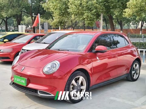 2022 ORA Good Cat 2021 400km Standard Range Athena Edition LFP Battery - ავტომობილი ჩინეთიდან