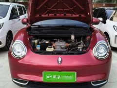 ORA Good Cat 2021 400km Standard Range Athena Edition LFP Battery - ფოტო 19