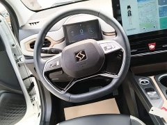 Flower Fairy Huaxianzi 302km Chaoyue Edition 31.4kWh - photo 10