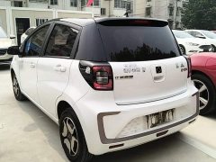 Flower Fairy Huaxianzi 302km Chaoyue Edition 31.4kWh - photo 4