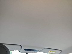 Geely Galaxy L6 EM-i 60km Launch Edition - ფოტო 17