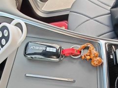 Geely Galaxy L6 EM-i 60km Launch Edition - ფოტო 8