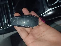 BYD Qin PLUS 2024 Glory Edition EV 510KM Leading - ფოტო 8