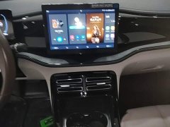 BYD Qin PLUS Champion Edition DM-i 55KM Leading - ფოტო 12
