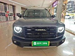 Great Wall Dachshund 2026 1.5T DCT Border Collie Edition - ფოტო 2