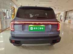 Great Wall Dachshund 2026 1.5T DCT Border Collie Edition - ფოტო 5
