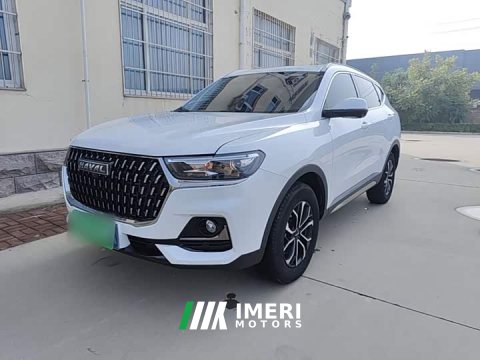 2024 Haval H6 2023 National Trend Edition 1.5T Automatic Urban Version - ავტომობილი ჩინეთიდან