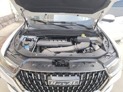 Haval H6 2023 National Trend Edition 1.5T Automatic Urban Version - ფოტო 19
