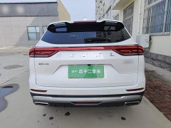 Haval H6 2023 National Trend Edition 1.5T Automatic Urban Version - ფოტო 5