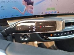Cadillac IQ Sharp Song 2022 Rear-Wheel Drive Long Range Luxury - ფოტო 13