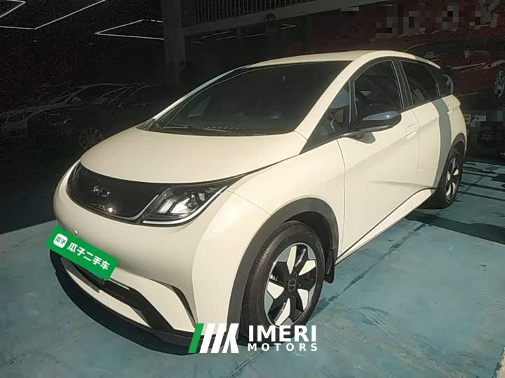 BYD Dolphin 420km Freedom Edition
