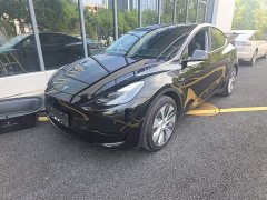 Tesla Model Y Rear-Wheel Drive - ფოტო 1