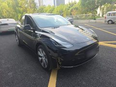 Tesla Model Y Rear-Wheel Drive - ფოტო 3