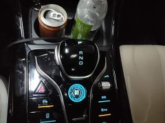 BYD Qin PLUS Champion Edition DM-i 55KM Leading - ფოტო 6