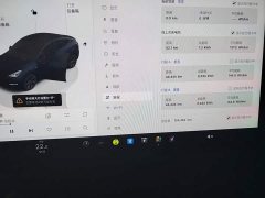 Tesla Model Y Rear-Wheel Drive - ფოტო 11