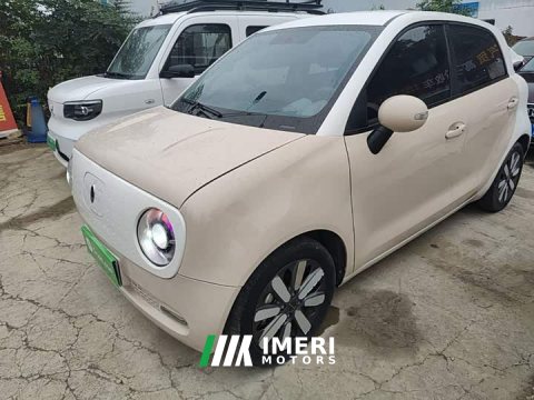 2021 ORA Black Cat 351km Standard - ავტომობილი ჩინეთიდან
