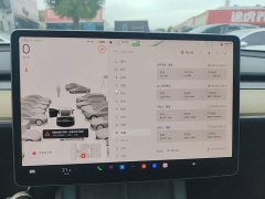Tesla Model Y Rear-Wheel Drive - ფოტო 11