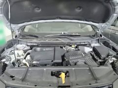 Nissan Qashqai e-POWER Hybrid Dual Motor AWD Premium Edition - ფოტო 19