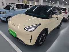 Geely Star Wish 2026 410km Freedom Edition - ფოტო 1