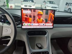 Geely Star Wish 2026 410km Freedom Edition - ფოტო 12