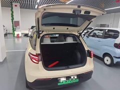 Geely Star Wish 2026 410km Freedom Edition - ფოტო 18