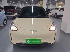 Geely Star Wish 2026 410km Freedom Edition - ფოტო 2