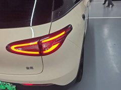 Geely Star Wish 2026 410km Freedom Edition - ფოტო 7