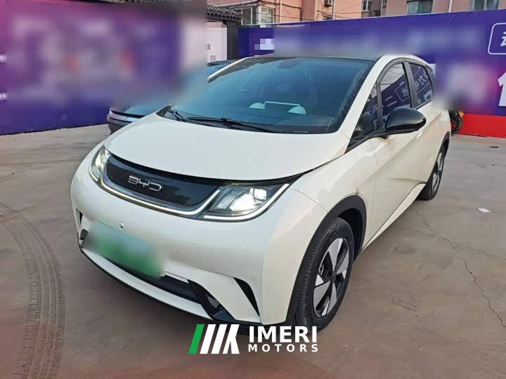 BYD Dolphin 2023 420km Fashion Edition - ავტომობილი ჩინეთიდან