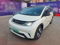 BYD Dolphin 2023 420km Fashion Edition - ფოტო 1