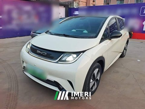 2024 BYD Dolphin 2023 420km Fashion Edition - ავტომობილი ჩინეთიდან