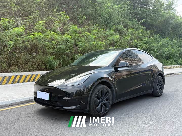 Tesla Model Y Rear-Wheel Drive