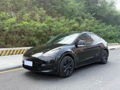 Tesla Model Y 2023 Rear-Wheel Drive - ფოტო 1