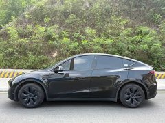 Tesla Model Y 2023 Rear-Wheel Drive - ფოტო 10