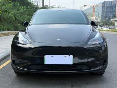 Tesla Model Y 2023 Rear-Wheel Drive - ფოტო 2